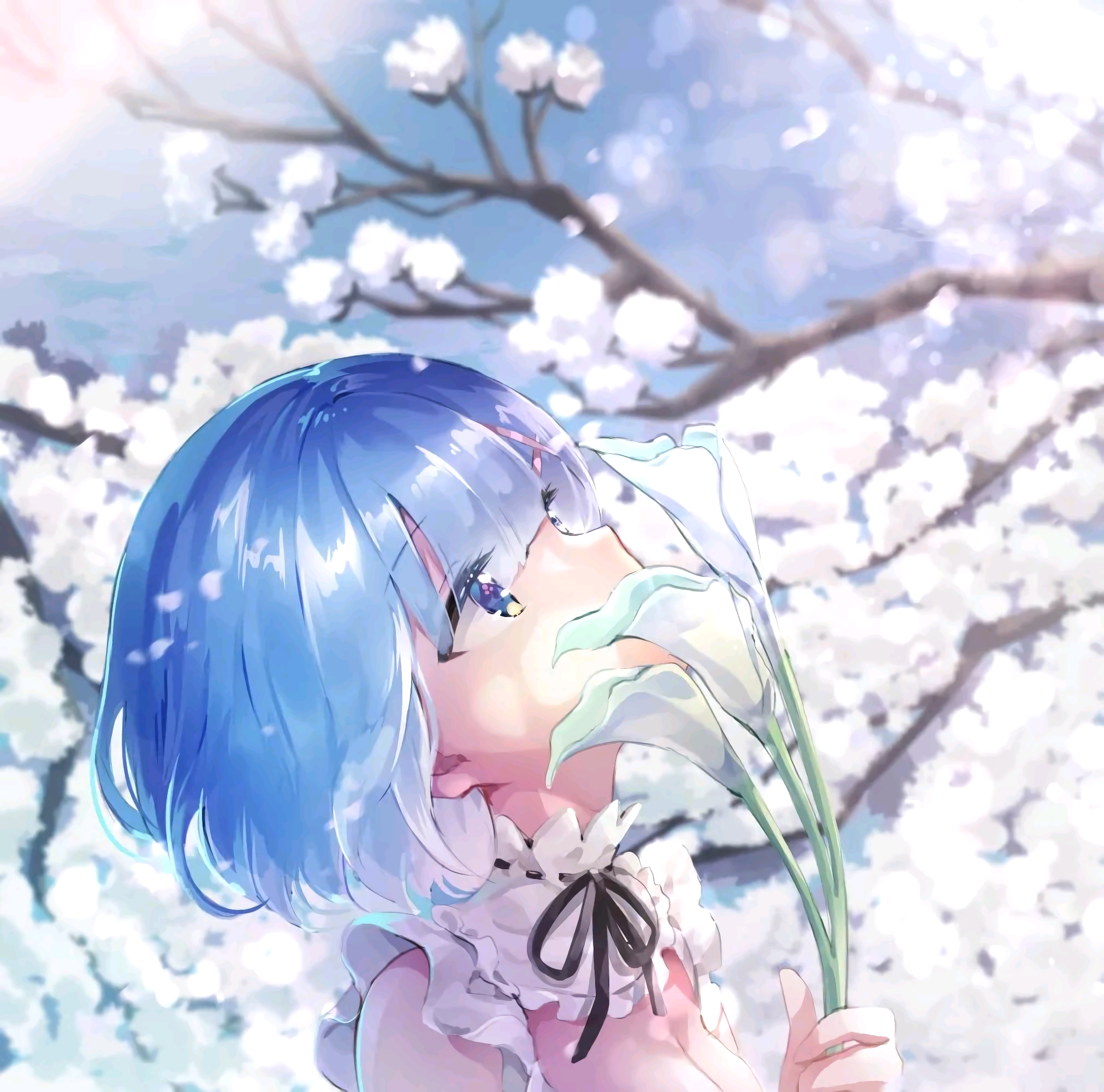 【蕾姆】如果真爱有颜色,那一定是蓝色!