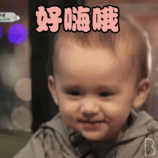 威本联盟表情包|擦浪～威廉和本特利芳心虏获魅力