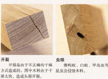 结疤会减弱木性,特别是"死结,当树枝死亡并被覆盖后,旦木料干燥或刨