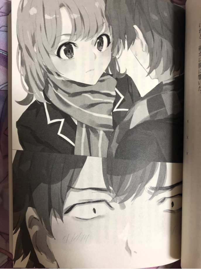 二次元资讯 春物13卷小说,路人女主fd2小说齐发售,股市再开?