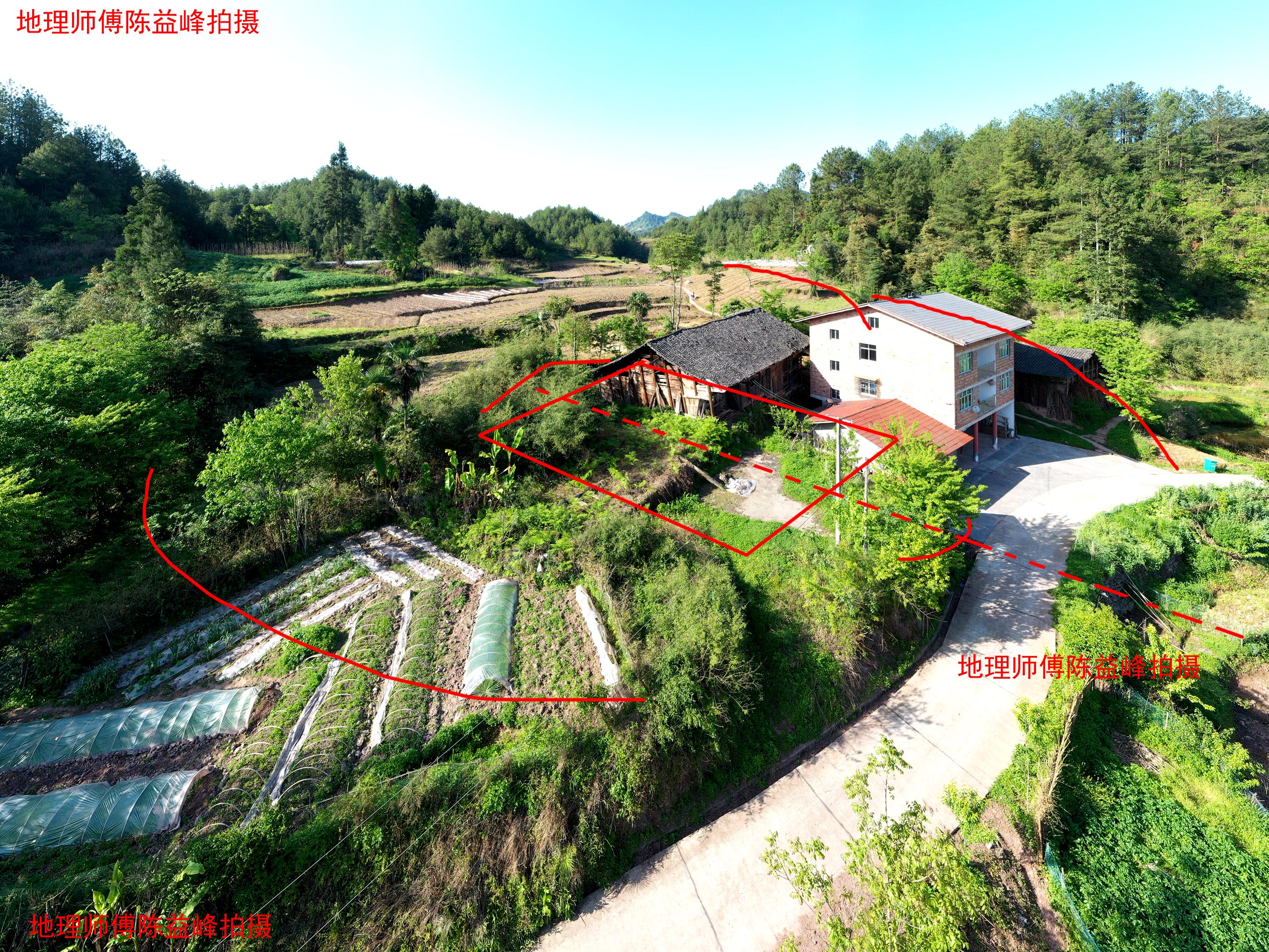 陈益峰:飞凤下田形,冉氏后人满门富贵