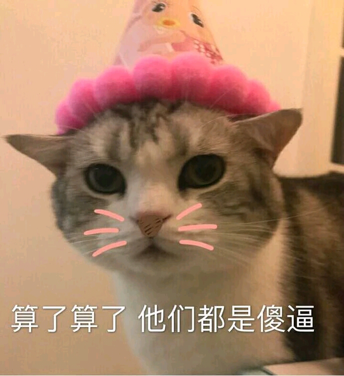 小可爱,猫咪表情包要么?⑦