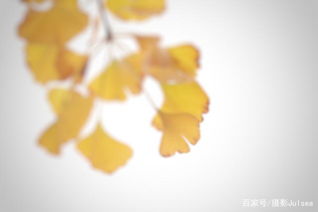 a04e7fa83a7e86df13dbc4965676eb0820007ccf.jpg