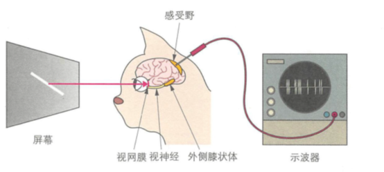 a06f6354cd820e2f551c09c257c9a69e6e565550.png