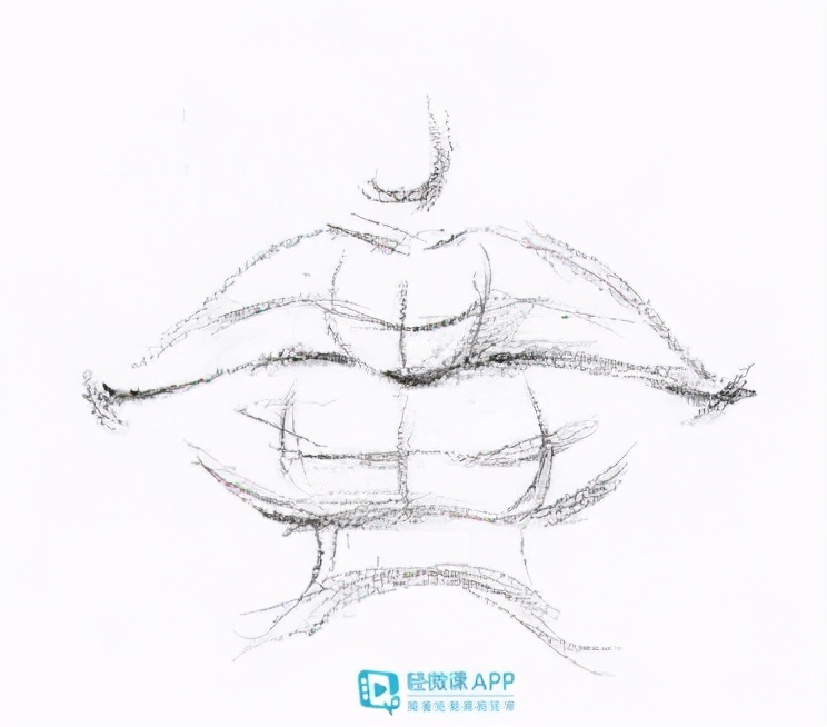 适合零基础素描小白学习