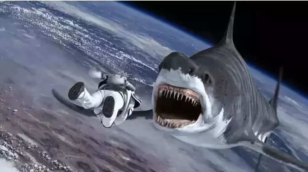 鲨鱼电影大全100部免费 a1072d0c3d843fb6eadfecc0691c54bb7a5aa59f.jpg