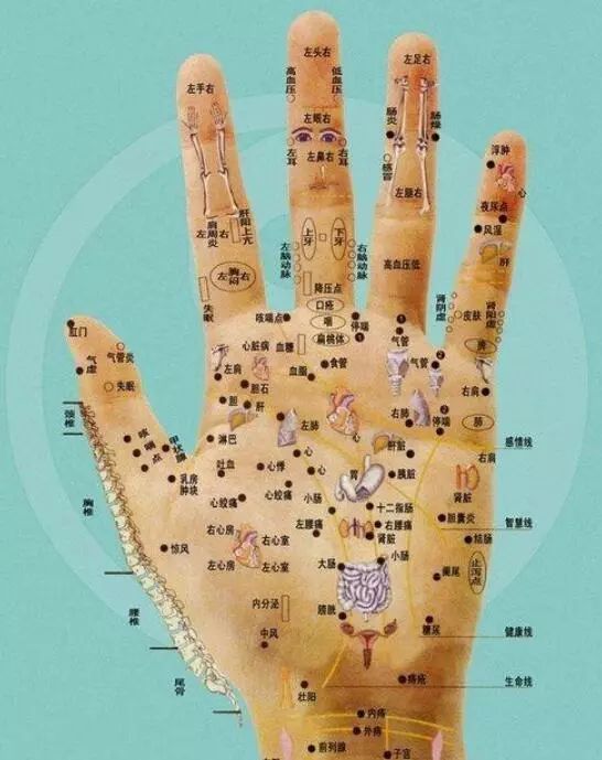 下面是一张手掌与人身体器官对应的示意图