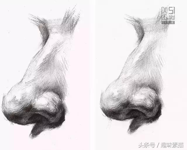 素描局部鼻子全面解析,特征、年龄、各角度怎么画?