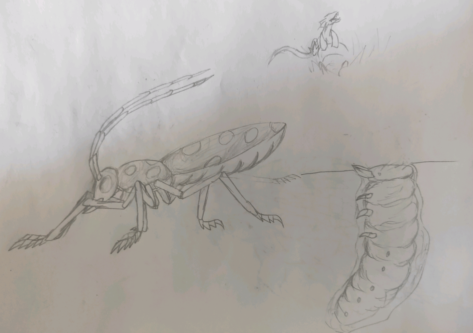方舟生存进化 自创生物(白斑天牛)
