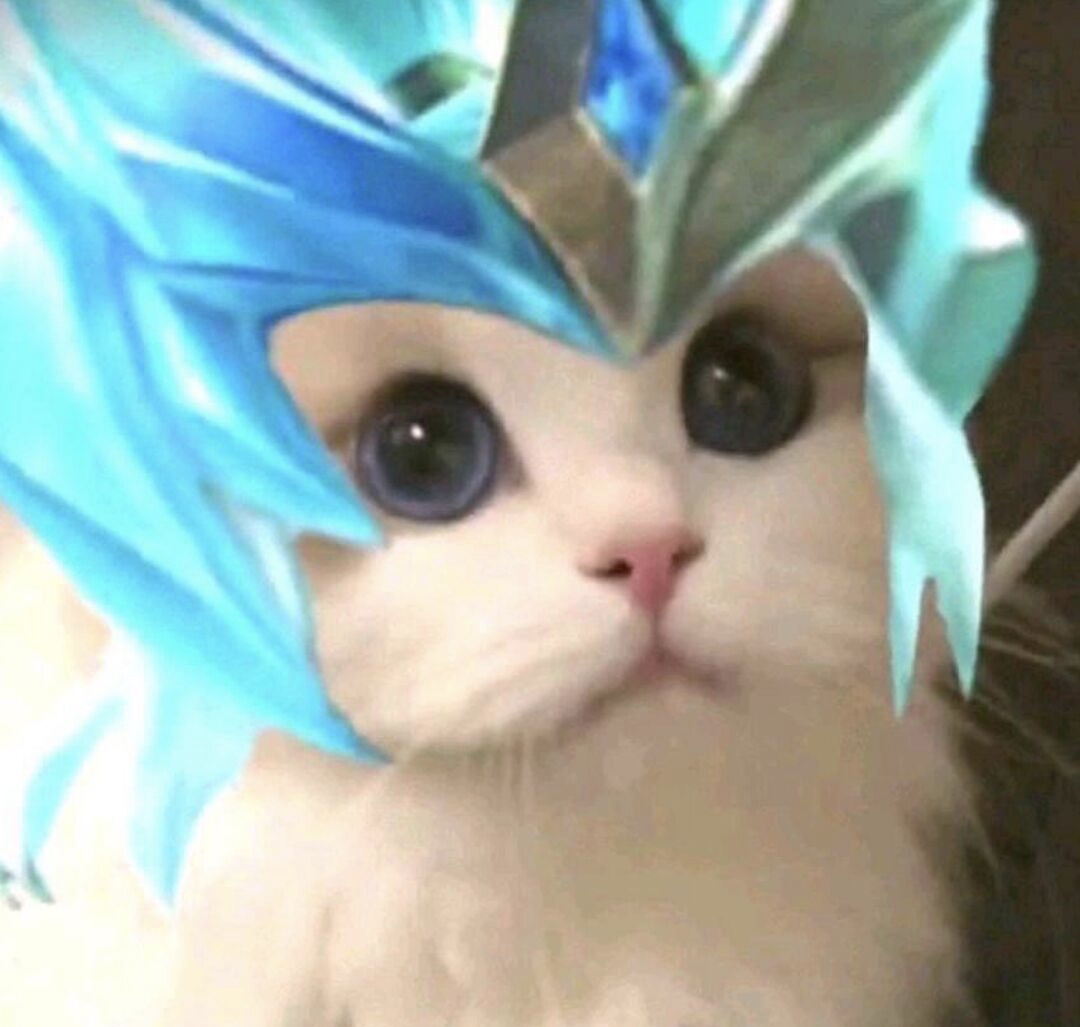 王者荣耀猫猫头像第十一期