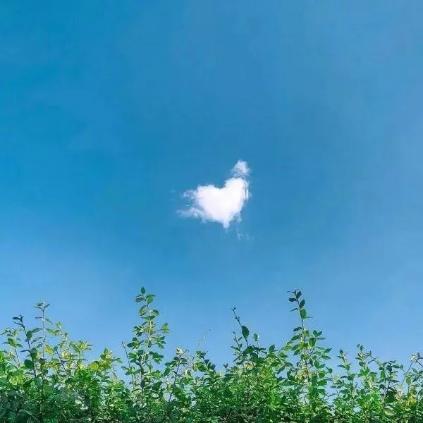 「背景图」岁月且长,何不潇洒走一回