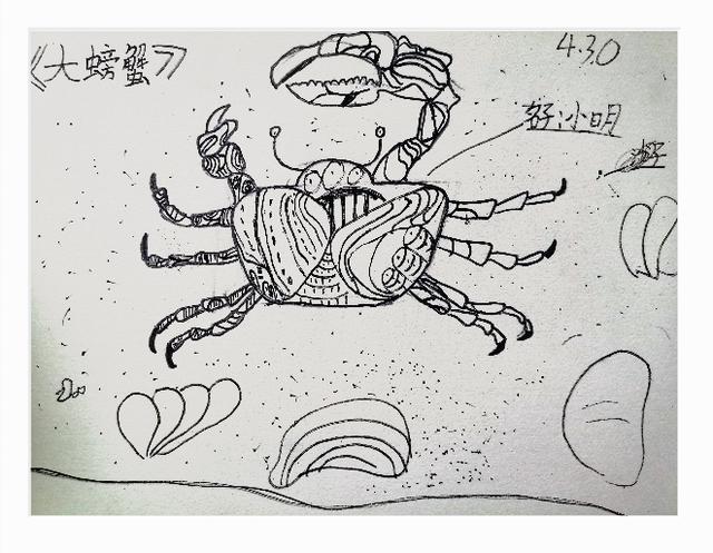 儿童美术怎么学夏天说这样画花鸟菠萝螃蟹漂流瓶等