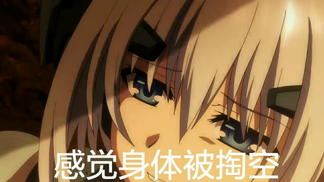 大湿表情包