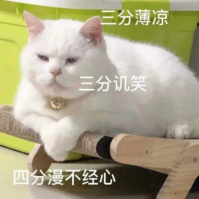 接吻沙雕文案,接吻沙雕文案短句