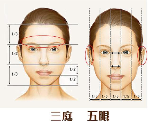 按照人物三庭五眼的比例标准姚明原来拥有完美脸型比例