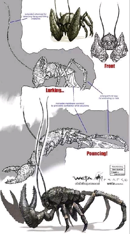 骷髅岛生物图鉴二脊椎动物篇〈搬运自贴吧 一版来源fjtgtdjr,二版来源