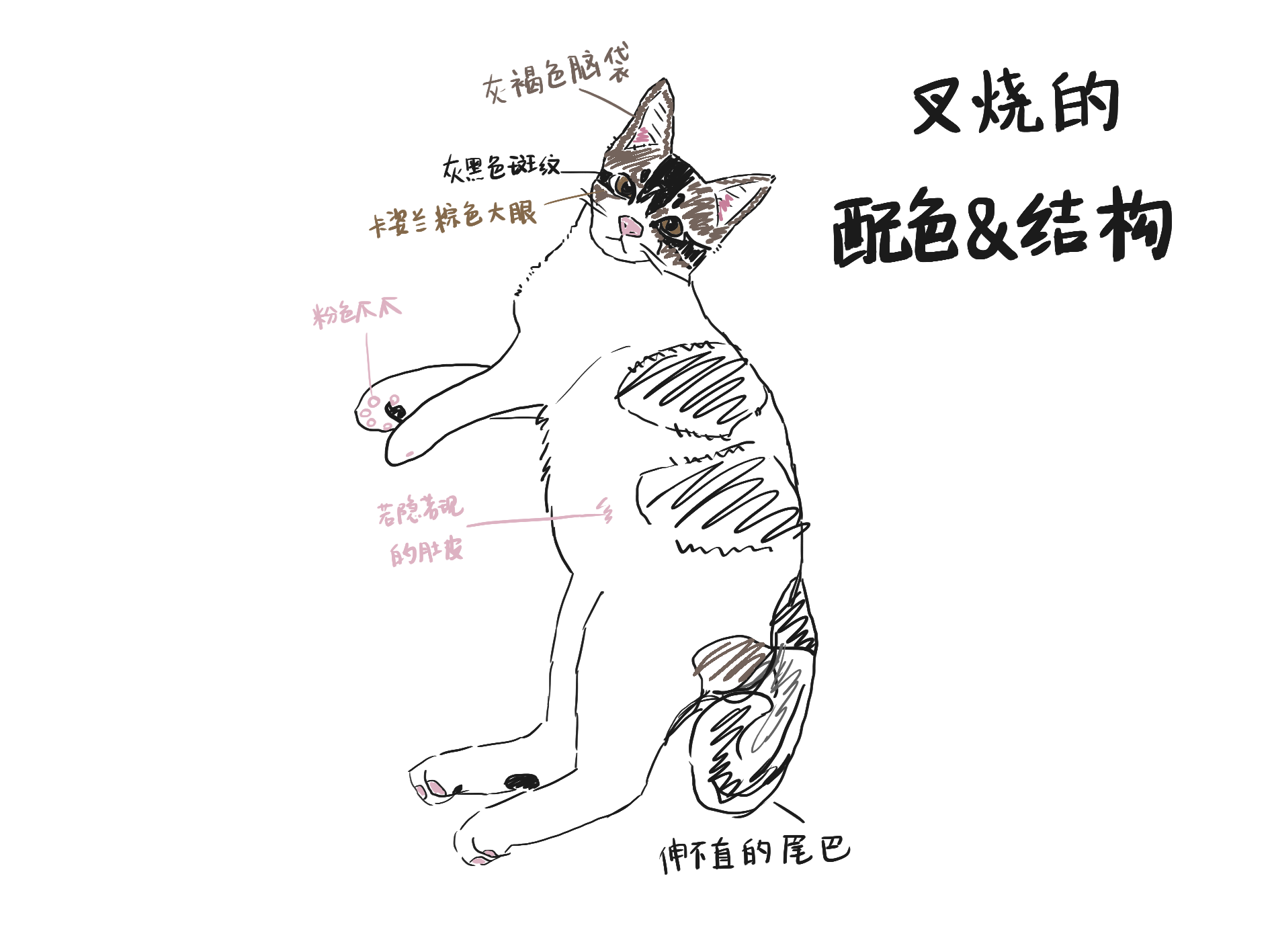 【日摸一喵】新鲜出炉的叉烧