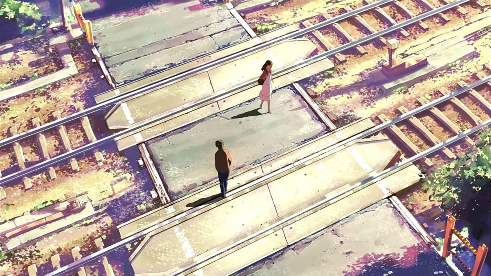 秒速五厘米 B站