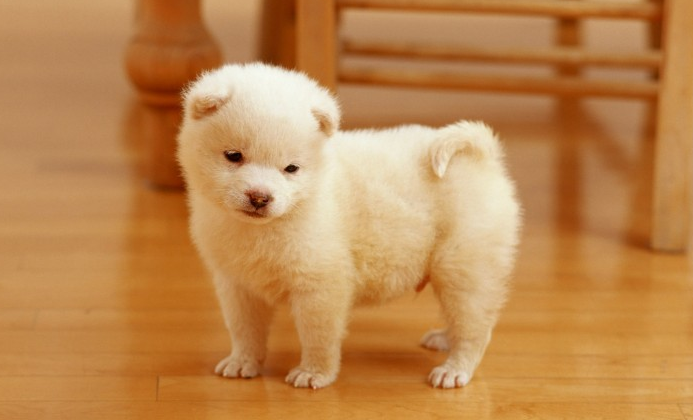 a3b03072619e1f5dde5ced9d842e4df5e4a41a50.png