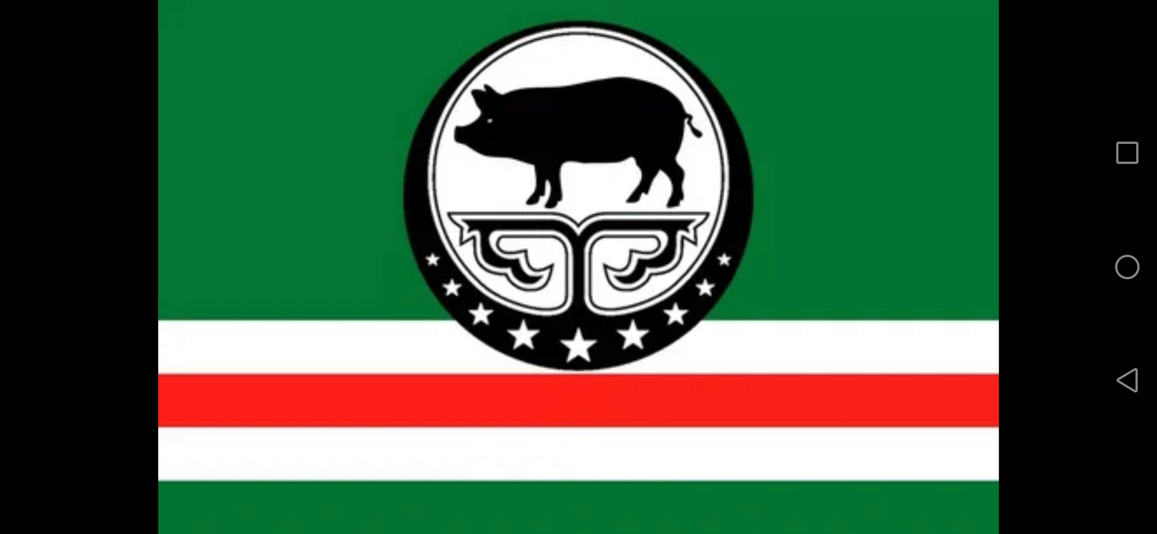 ichkeria车臣共和国"国徽"和"国旗"