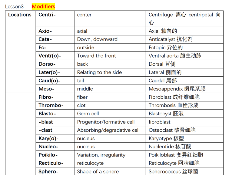 Medical Terminology