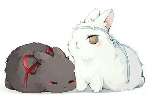 蓝湛!我……回来了! (*)