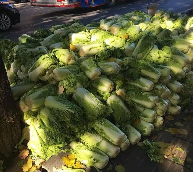 就想知道,北方大爷屯的500斤大白菜是怎么吃完的