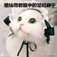 二哈的白猫师尊钢琴曲谱_二哈和他的白猫师尊(2)