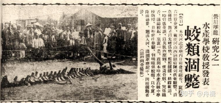 结合1934营口坠龙事件个人简单分析龙真的存在么