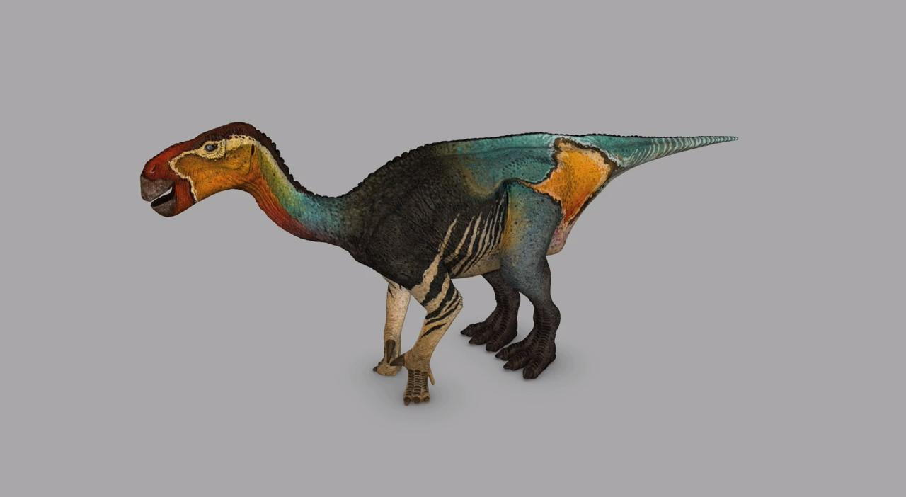 禽龙类iguanodont