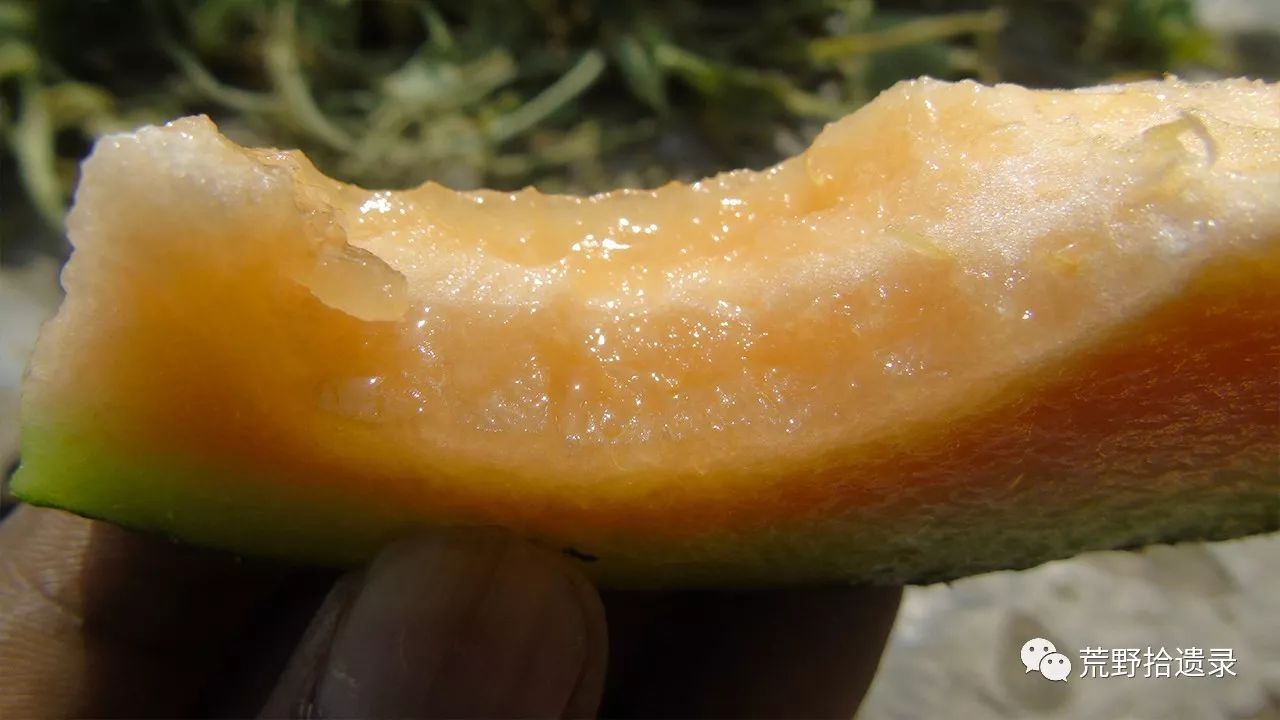 a624fdabc0ac57d72b757db544d3288fa22b0bfe.jpg