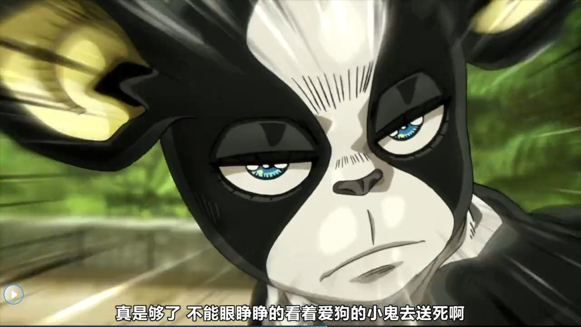 不过确实承太郎和伊奇也有相似的地方,比