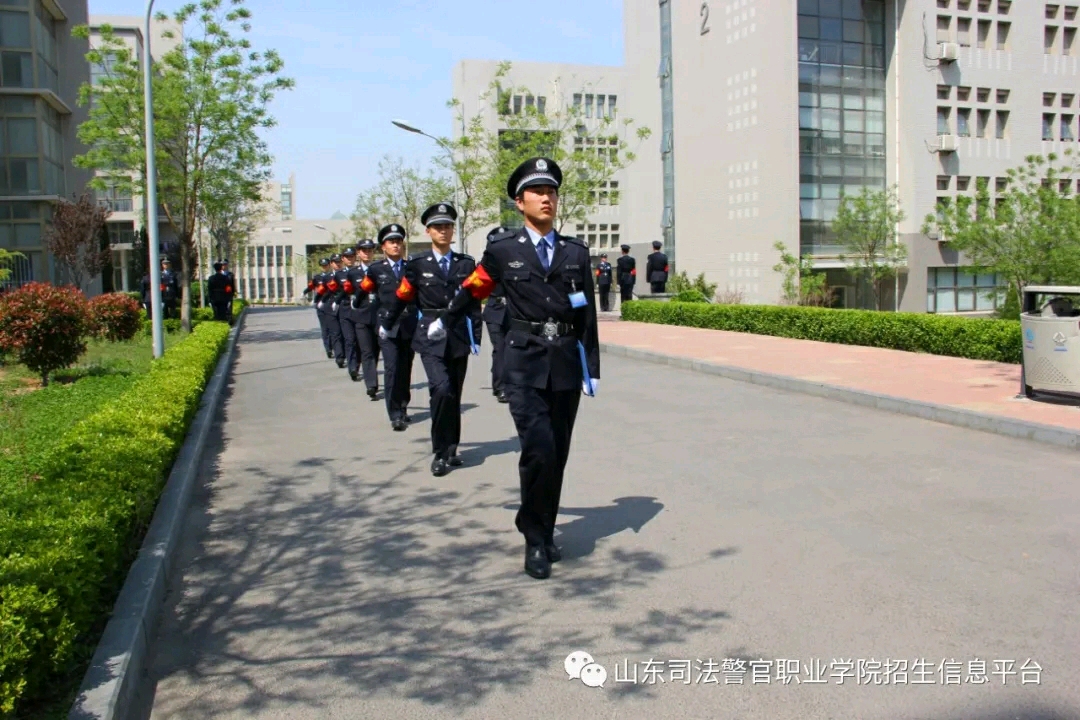 【官方发布】山东司法警官职业学院2020年招生简章