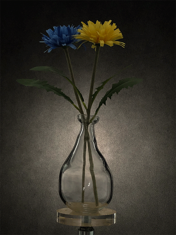 01 手机摄影之宜家小花瓶