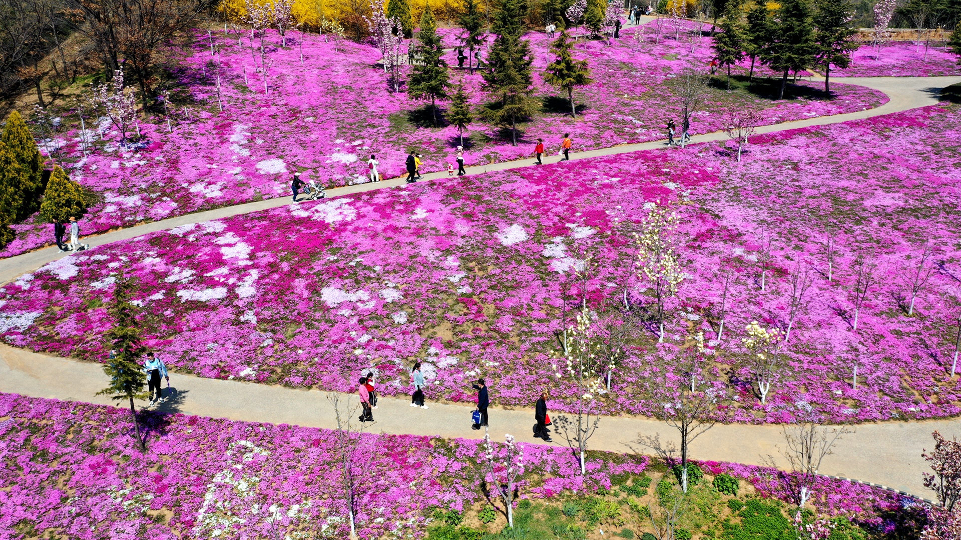 大连英歌石植物园