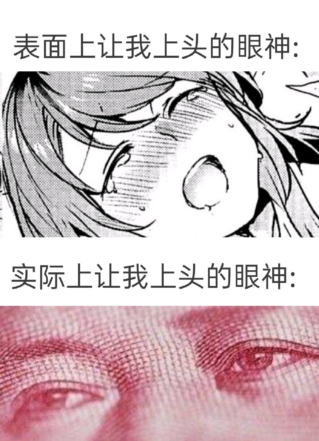 meme - 哔哩哔哩