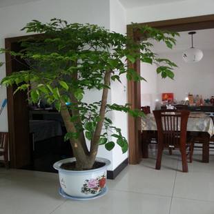 a6dace30aee615e026ecdf1f5aaaf9e602888f31.jpg