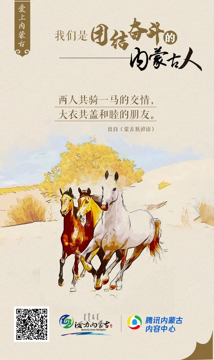 内蒙人用行动诠释蒙古马精神,爱上内蒙古