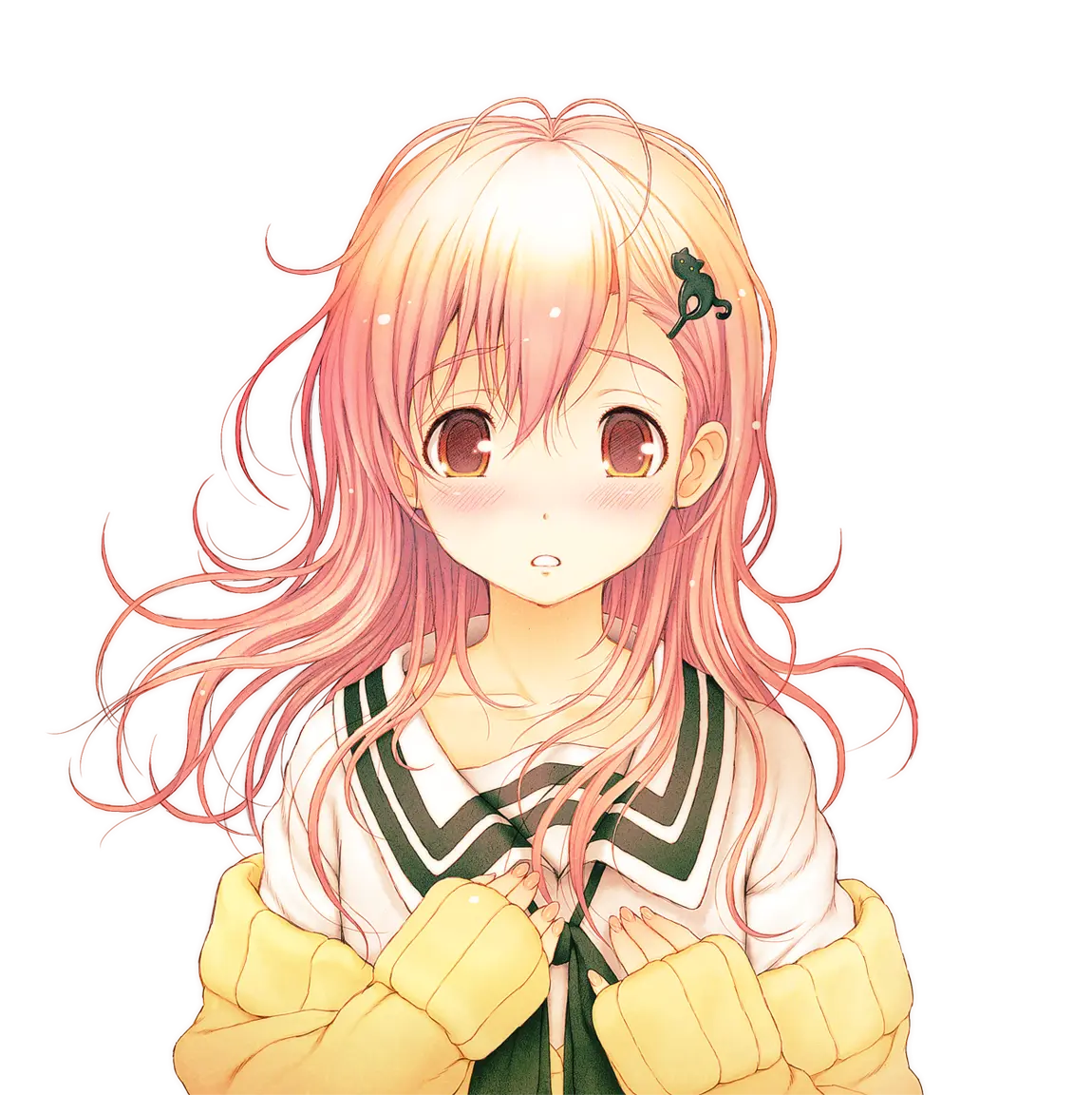 [cg收集]《君与彼女与彼女之恋》