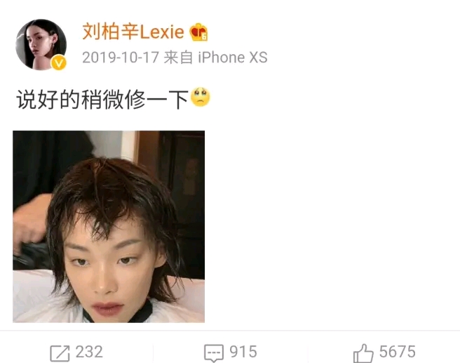 刘柏辛:成绩很好的问题少女