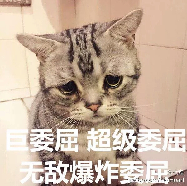a7795a38731f6e82211314e897a0a2608225d3db.jpg
