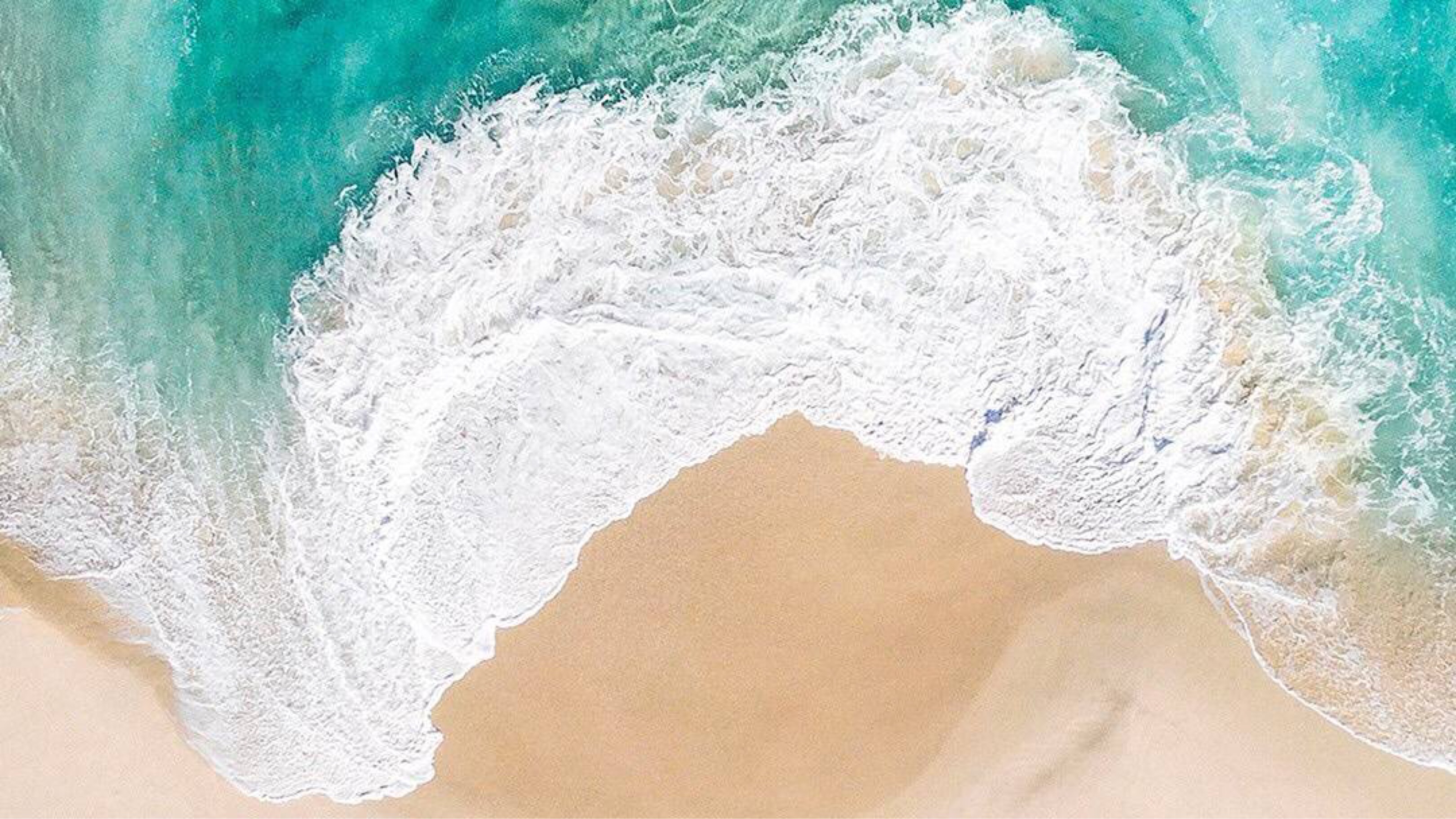 看不见的客人 - 搜索结果 -