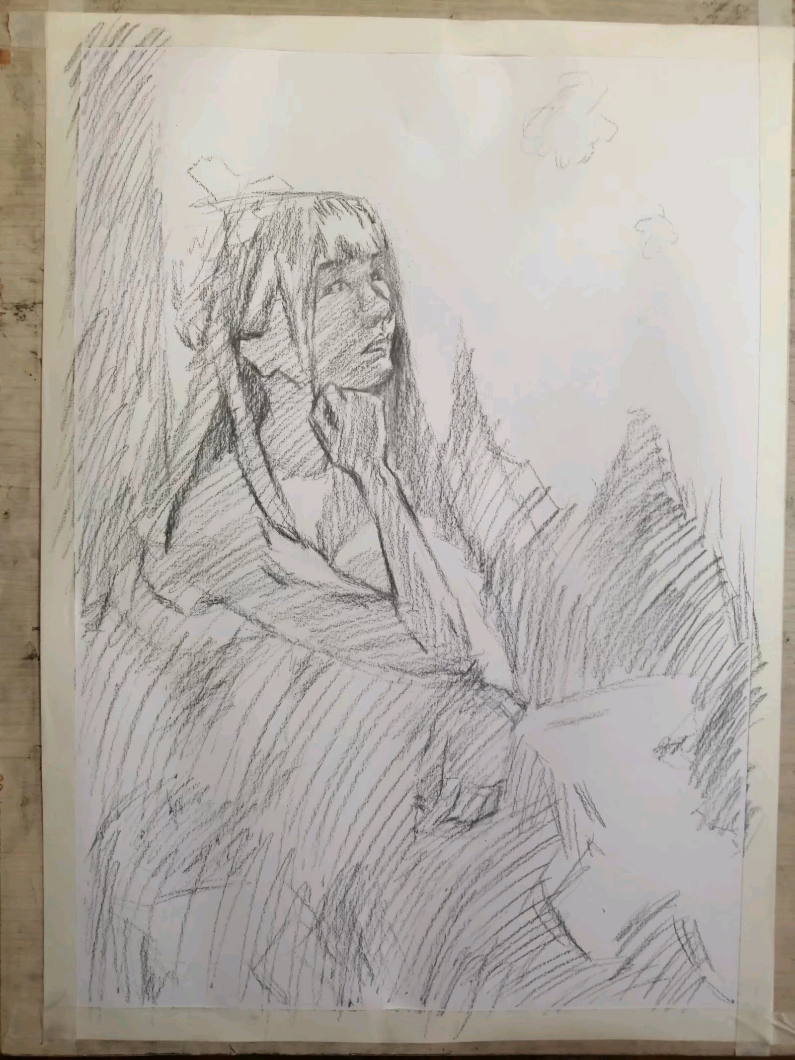 画画步骤