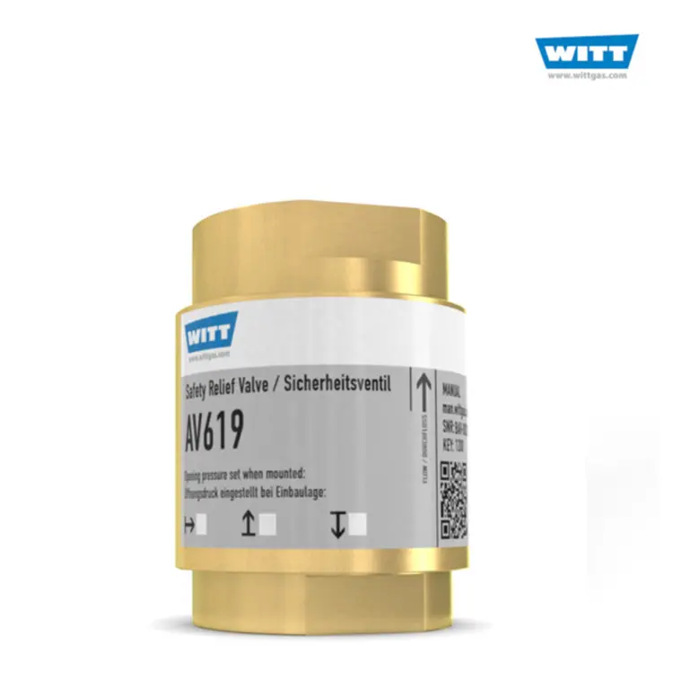 witt安全阀 sv 805-es smart适用于腐蚀性气体