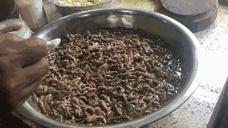 我不是吃货第三期:这些虫子竟然是美食?