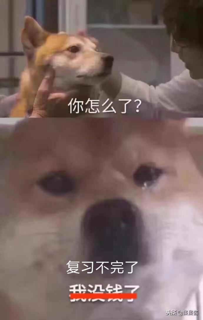 今天无关道理鸡汤,聊聊你们现在都在做什么