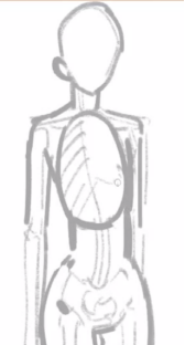 a9996c5897defd5de656167adfb6ff6948e7fa62.png