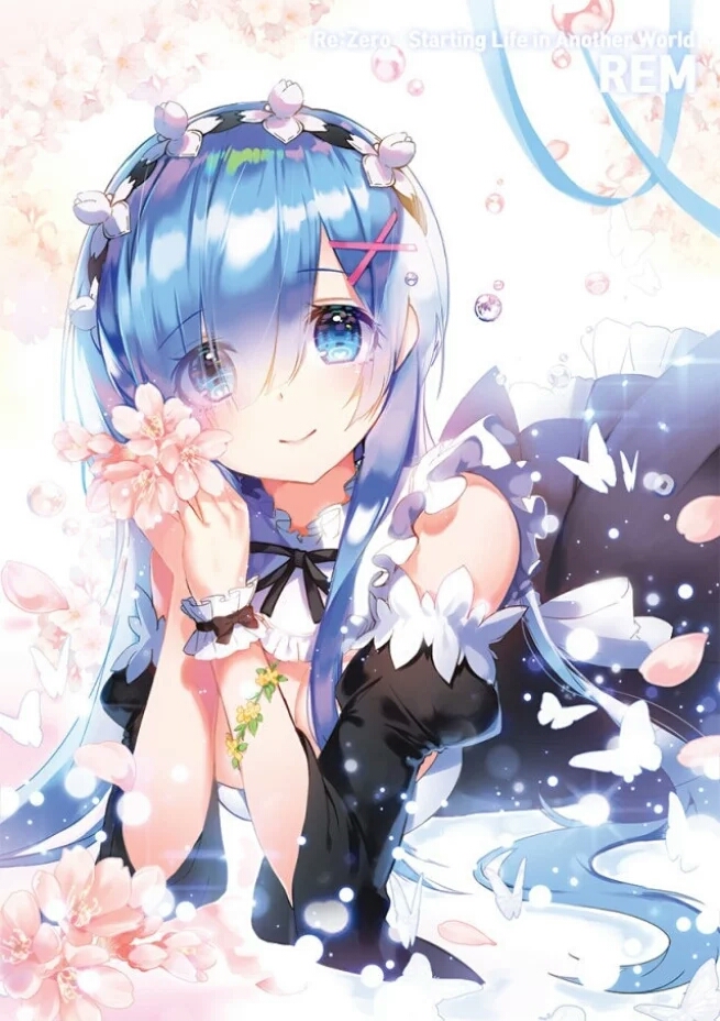 二次元壁纸 雷姆二期