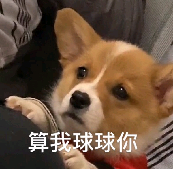沙雕表情包 算我球球你威胁不知所措卧槽 帅比开心到模糊哼你再说一遍