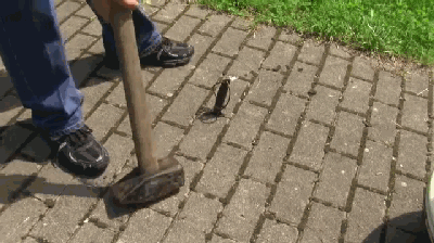 尴尬无比的大叔最后只好亮出了大招,直接用大锤子抡上了.